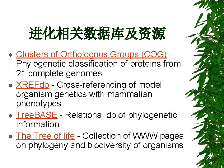 进化相关数据库及资源 Clusters of Orthologous Groups (COG) Phylogenetic classification of proteins from 21 complete genomes