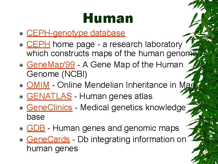 Human CEPH-genotype database CEPH home page - a research laboratory which constructs maps of