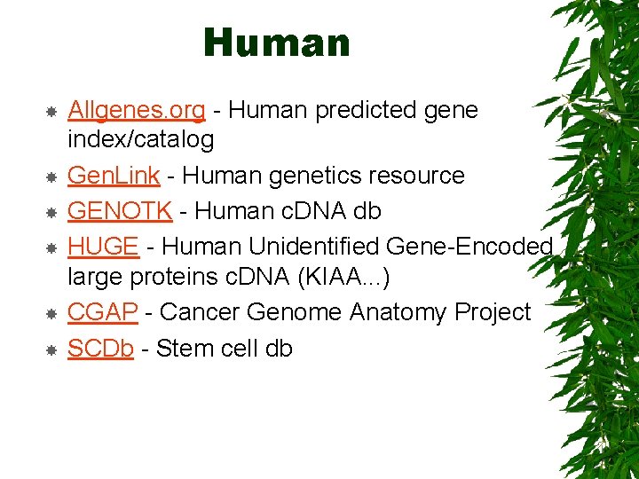 Human Allgenes. org - Human predicted gene index/catalog Gen. Link - Human genetics resource