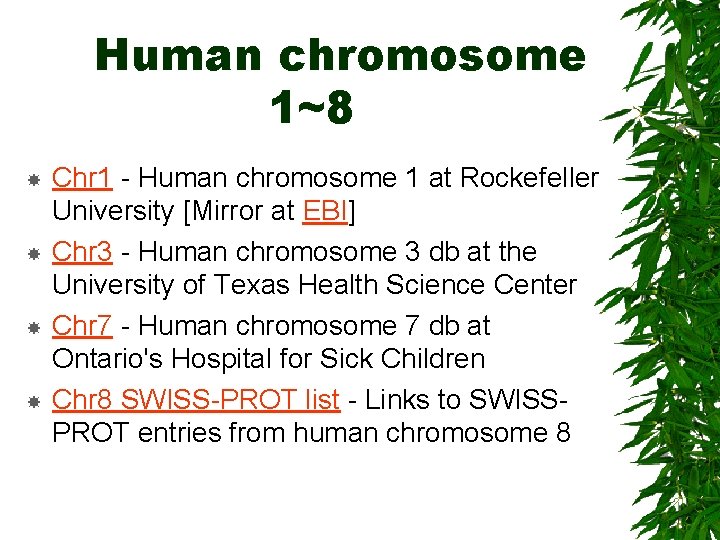 Human chromosome 1~8 Chr 1 - Human chromosome 1 at Rockefeller University [Mirror at