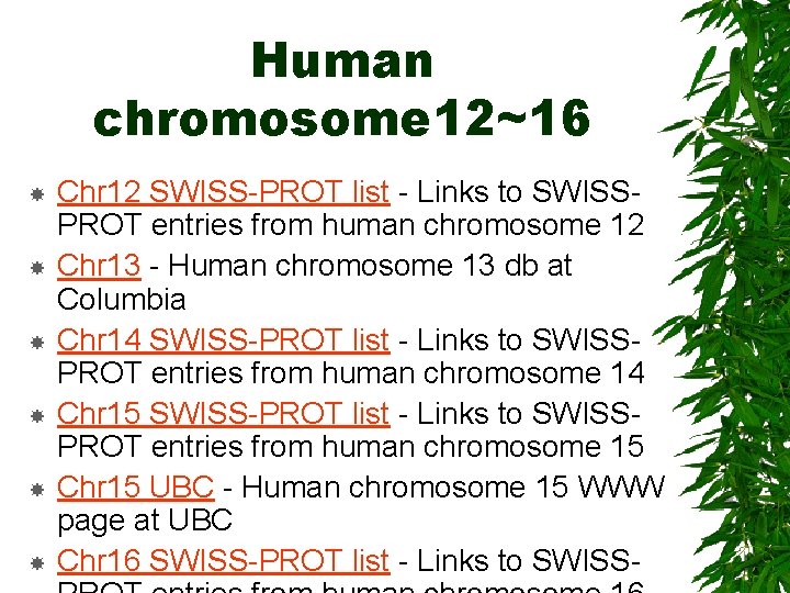 Human chromosome 12~16 Chr 12 SWISS-PROT list - Links to SWISSPROT entries from human