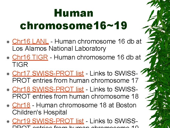 Human chromosome 16~19 Chr 16 LANL - Human chromosome 16 db at Los Alamos