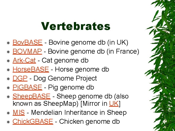 Vertebrates Bov. BASE - Bovine genome db (in UK) BOVMAP - Bovine genome db