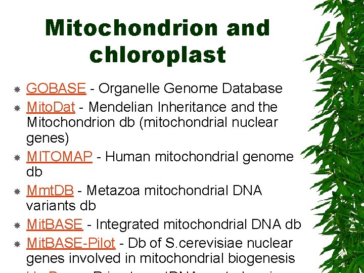 Mitochondrion and chloroplast GOBASE - Organelle Genome Database Mito. Dat - Mendelian Inheritance and