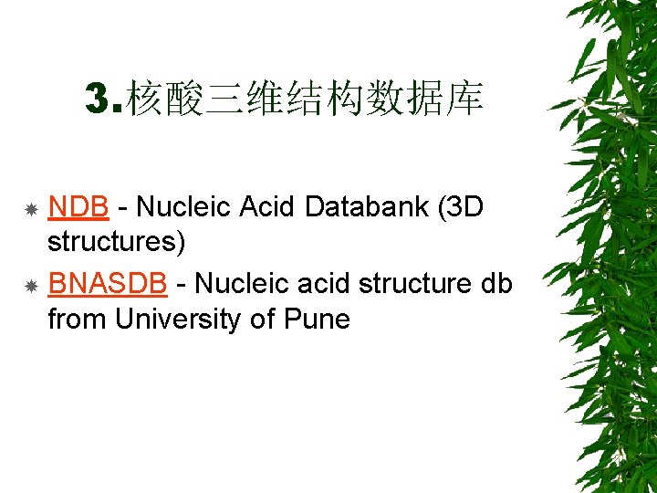 3. 核酸三维结构数据库 NDB - Nucleic Acid Databank (3 D structures) BNASDB - Nucleic acid