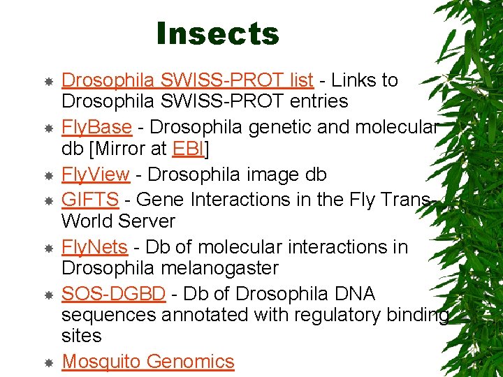 Insects Drosophila SWISS-PROT list - Links to Drosophila SWISS-PROT entries Fly. Base - Drosophila