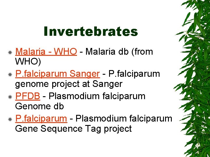 Invertebrates Malaria - WHO - Malaria db (from WHO) P. falciparum Sanger - P.