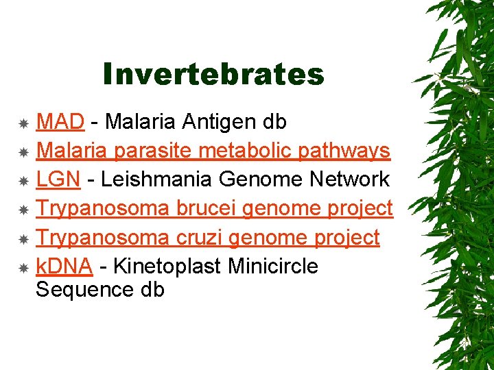 Invertebrates MAD - Malaria Antigen db Malaria parasite metabolic pathways LGN - Leishmania Genome