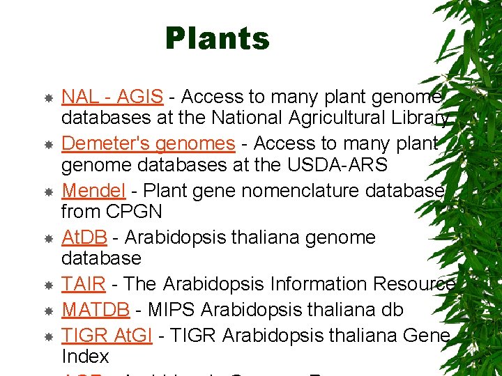 Plants NAL - AGIS - Access to many plant genome databases at the National