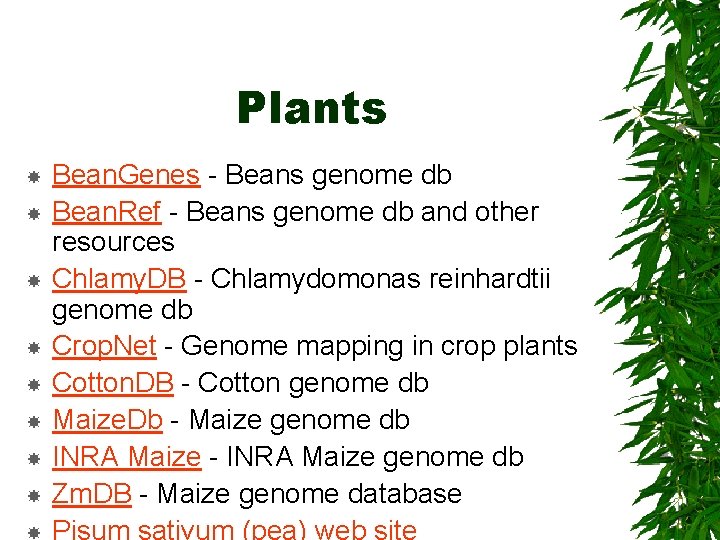 Plants Bean. Genes - Beans genome db Bean. Ref - Beans genome db and