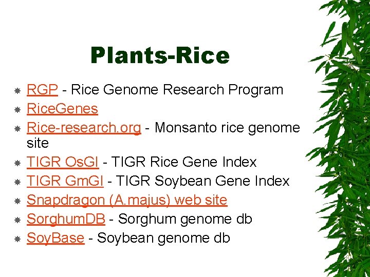 Plants-Rice RGP - Rice Genome Research Program Rice. Genes Rice-research. org - Monsanto rice