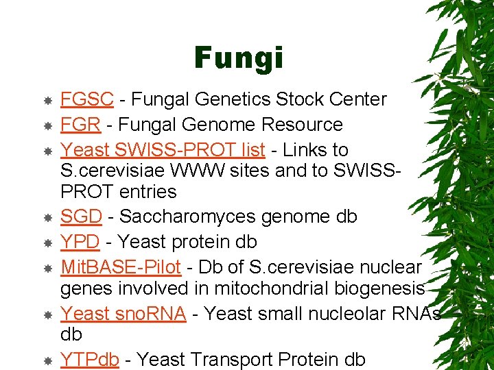 Fungi FGSC - Fungal Genetics Stock Center FGR - Fungal Genome Resource Yeast SWISS-PROT
