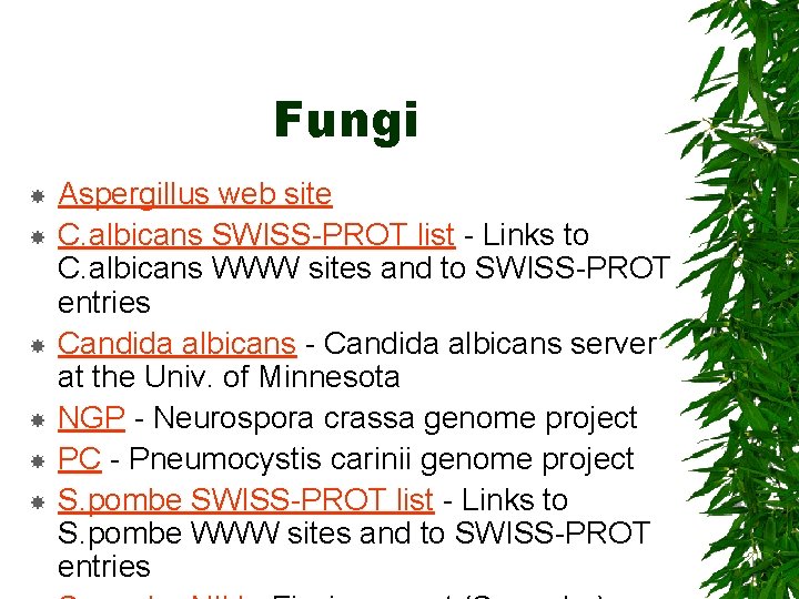 Fungi Aspergillus web site C. albicans SWISS-PROT list - Links to C. albicans WWW