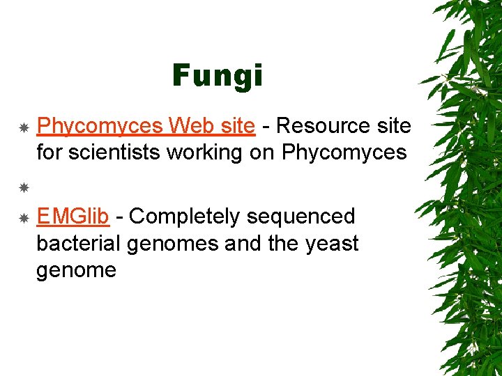 Fungi Phycomyces Web site - Resource site for scientists working on Phycomyces EMGlib -