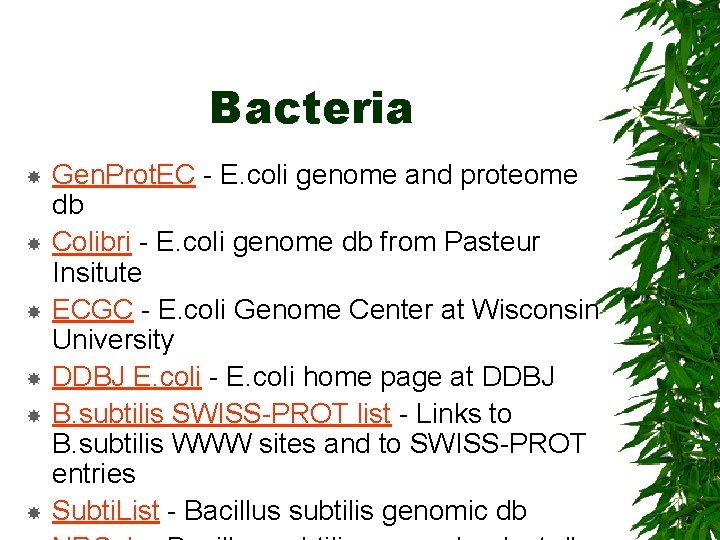 Bacteria Gen. Prot. EC - E. coli genome and proteome db Colibri - E.