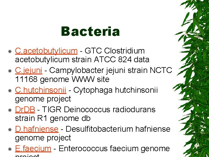 Bacteria C. acetobutylicum - GTC Clostridium acetobutylicum strain ATCC 824 data C. jejuni -