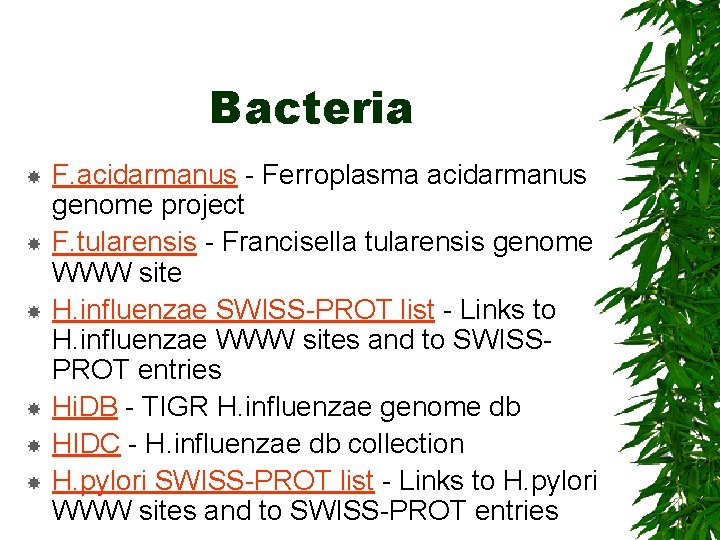 Bacteria F. acidarmanus - Ferroplasma acidarmanus genome project F. tularensis - Francisella tularensis genome