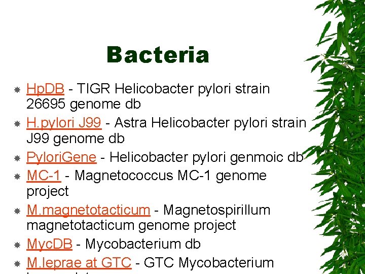 Bacteria Hp. DB - TIGR Helicobacter pylori strain 26695 genome db H. pylori J