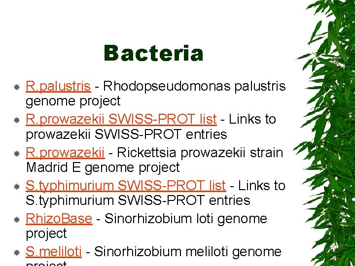 Bacteria R. palustris - Rhodopseudomonas palustris genome project R. prowazekii SWISS-PROT list - Links