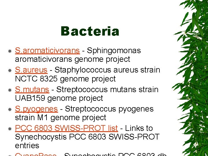Bacteria S. aromaticivorans - Sphingomonas aromaticivorans genome project S. aureus - Staphylococcus aureus strain