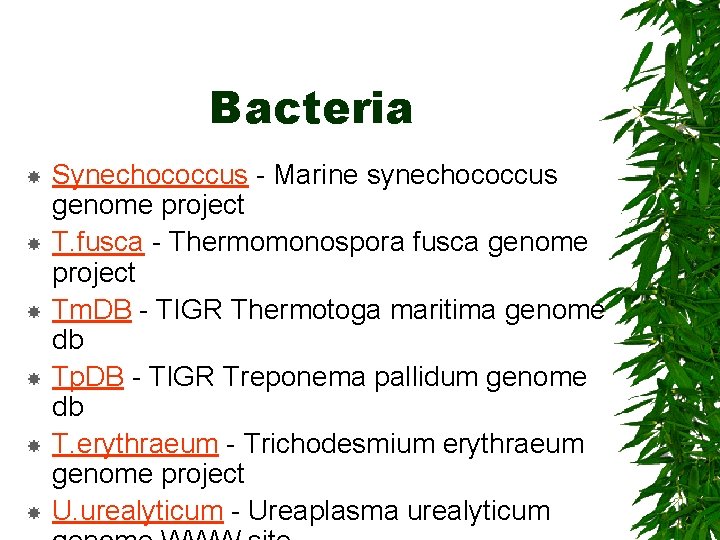 Bacteria Synechococcus - Marine synechococcus genome project T. fusca - Thermomonospora fusca genome project