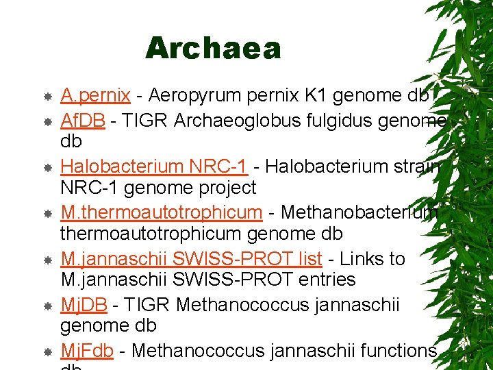 Archaea A. pernix - Aeropyrum pernix K 1 genome db Af. DB - TIGR