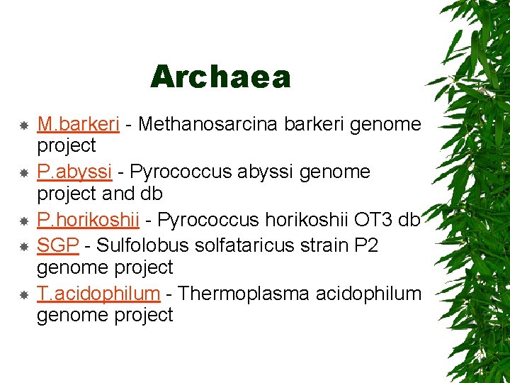 Archaea M. barkeri - Methanosarcina barkeri genome project P. abyssi - Pyrococcus abyssi genome
