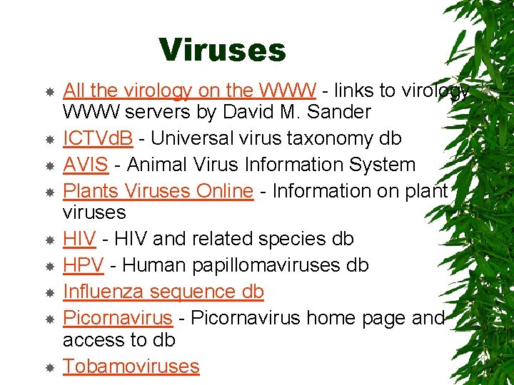 Viruses All the virology on the WWW - links to virology WWW servers by