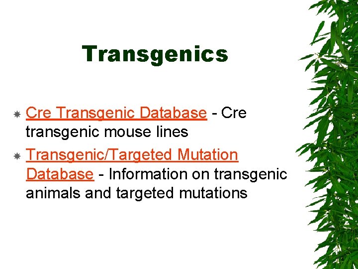 Transgenics Cre Transgenic Database - Cre transgenic mouse lines Transgenic/Targeted Mutation Database - Information