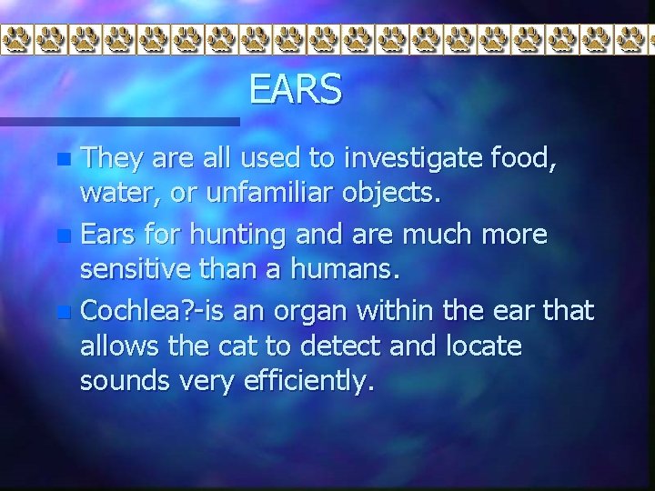 EARS They are all used to investigate food, water, or unfamiliar objects. n Ears