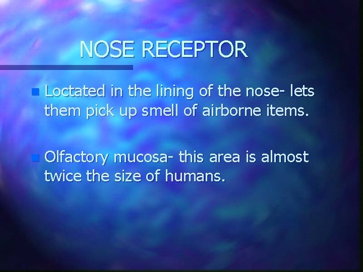 NOSE RECEPTOR n Loctated in the lining of the nose- lets them pick up