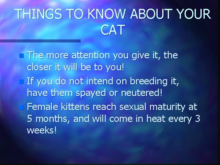 THINGS TO KNOW ABOUT YOUR CAT The more attention you give it, the closer