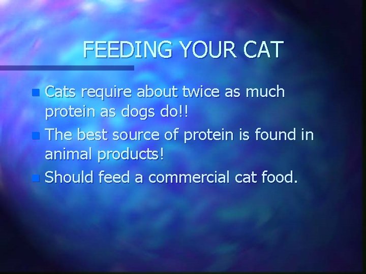 FEEDING YOUR CAT Cats require about twice as much protein as dogs do!! n