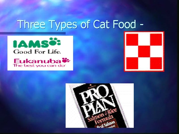 Three Types of Cat Food - 