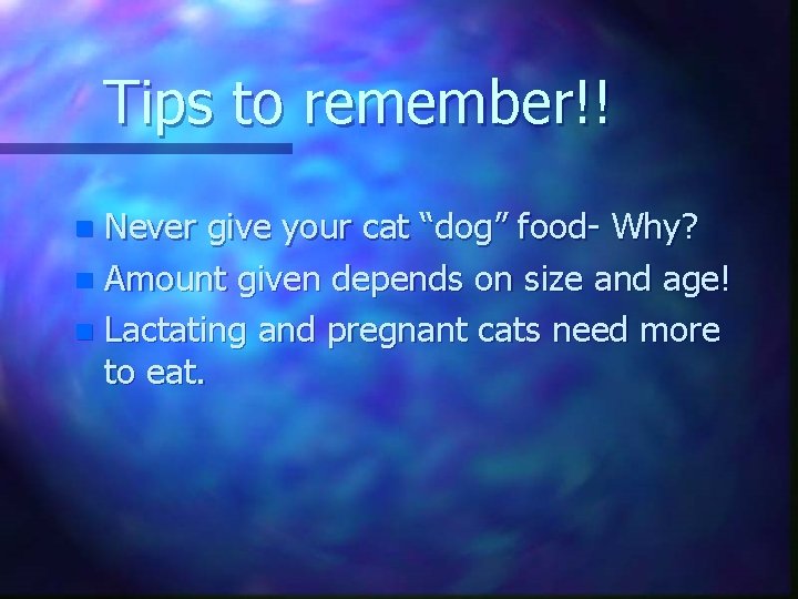 Tips to remember!! Never give your cat “dog” food- Why? n Amount given depends