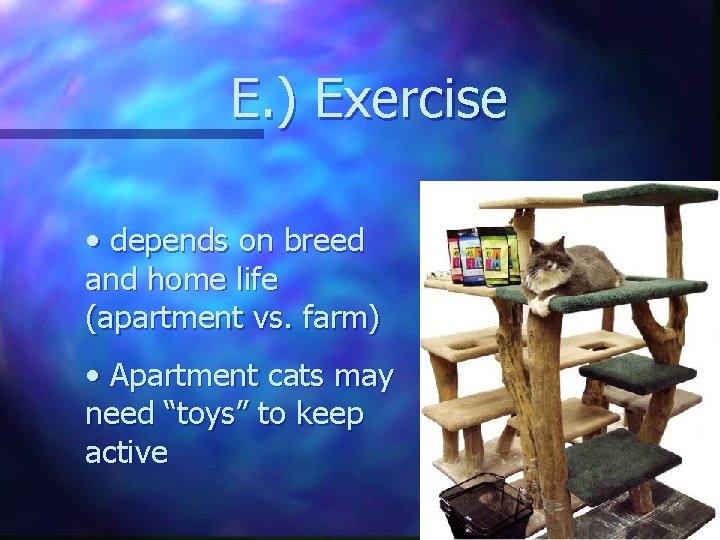 E. ) Exercise • depends on breed and home life (apartment vs. farm) •