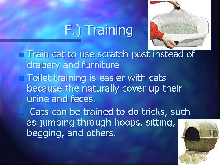F. ) Training Train cat to use scratch post instead of drapery and furniture