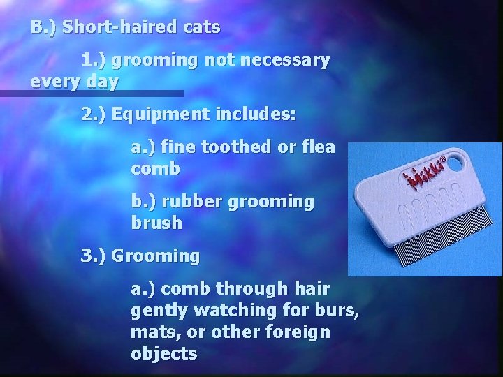 B. ) Short-haired cats 1. ) grooming not necessary every day 2. ) Equipment