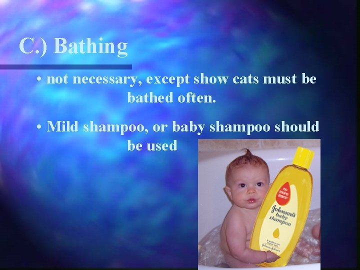 C. ) Bathing • not necessary, except show cats must be bathed often. •