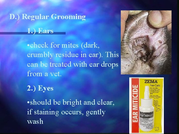 D. ) Regular Grooming 1. ) Ears • check for mites (dark, crumbly residue