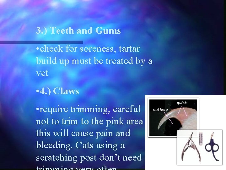 3. ) Teeth and Gums • check for soreness, tartar build up must be