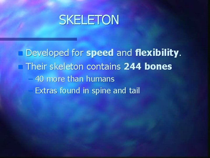 SKELETON Developed for speed and flexibility. n Their skeleton contains 244 bones n –