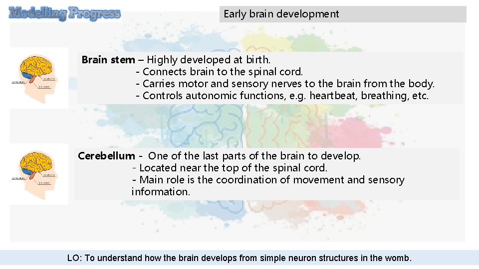 Early brain development Brain stem – Highly developed at birth. - Connects brain to