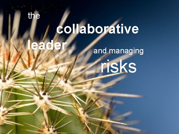 the collaborative leader and managing risks 