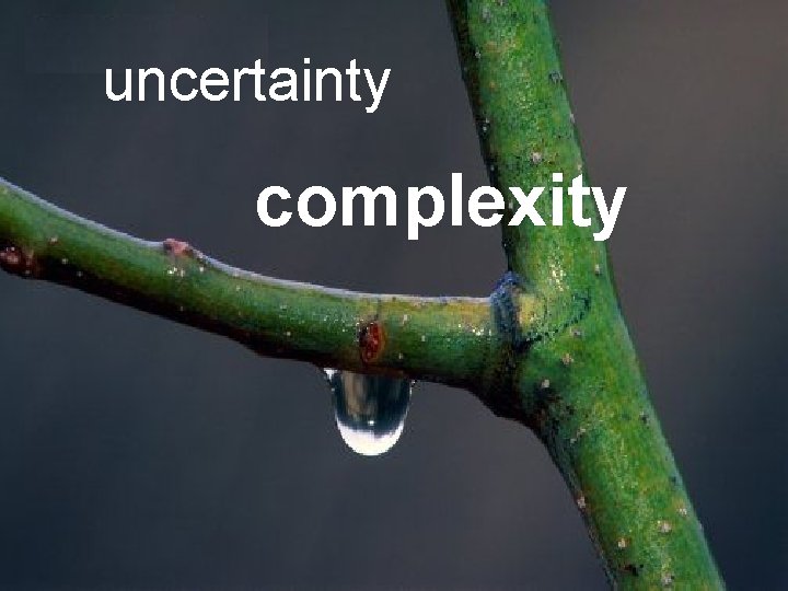 uncertainty complexity 