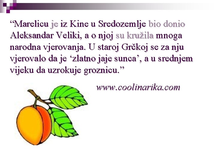 “Marelicu je iz Kine u Sredozemlje bio donio Aleksandar Veliki, a o njoj su