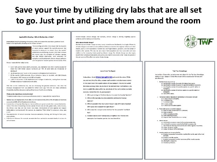 Save your time by utilizing dry labs that are all set to go. Just Save your time by utilizing dry labs that are all set to go. Just