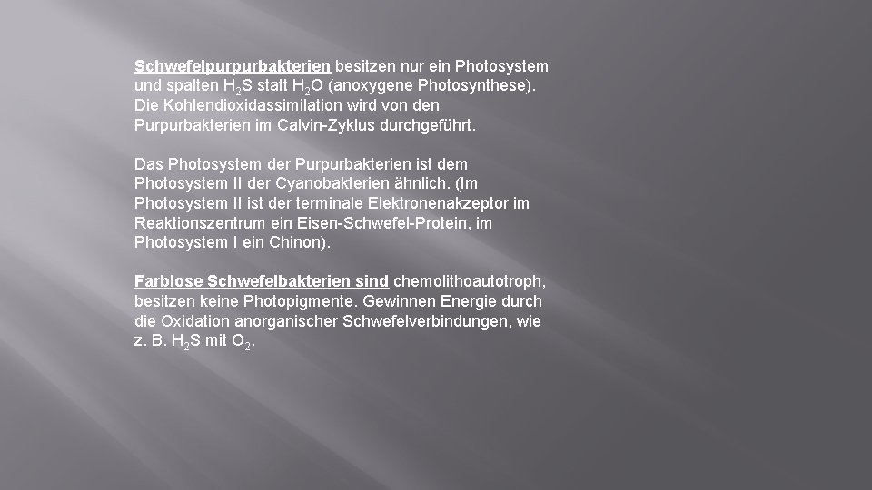 Schwefelpurpurbakterien besitzen nur ein Photosystem und spalten H 2 S statt H 2 O