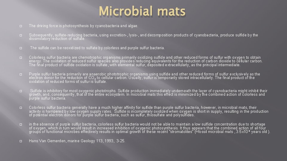 Microbial mats � The driving force is photosynthesis by cyanobacteria and algae. � Subsequently,