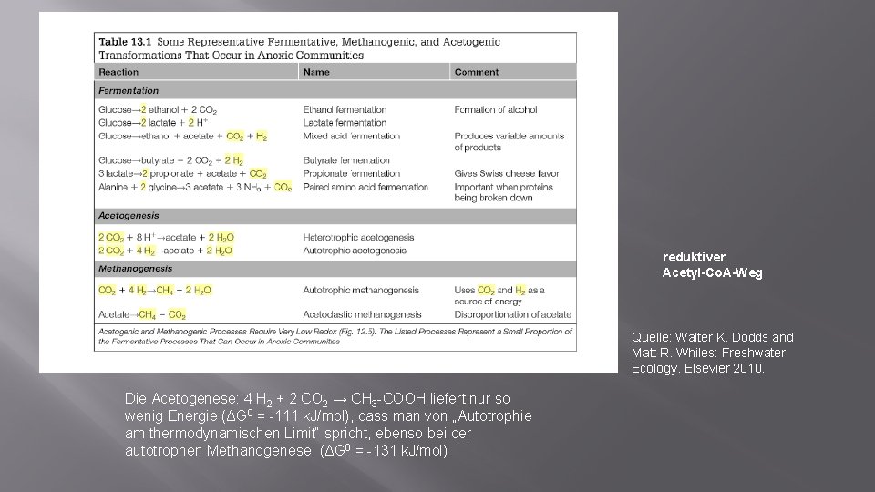 reduktiver Acetyl-Co. A-Weg Quelle: Walter K. Dodds and Matt R. Whiles: Freshwater Ecology. Elsevier